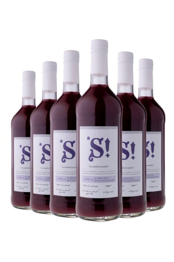 Karton 6 x 700 ml Apfel & Schwarze Johannisbeere – Aromatische Fruchtsaftmischung